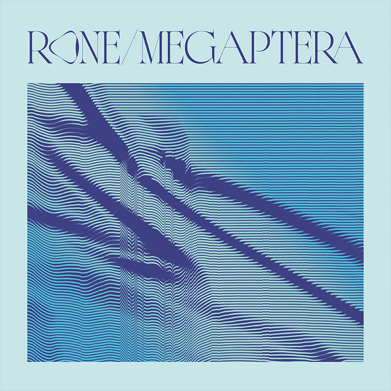 Rone, "Megaptera" chez InFin&eacute; records